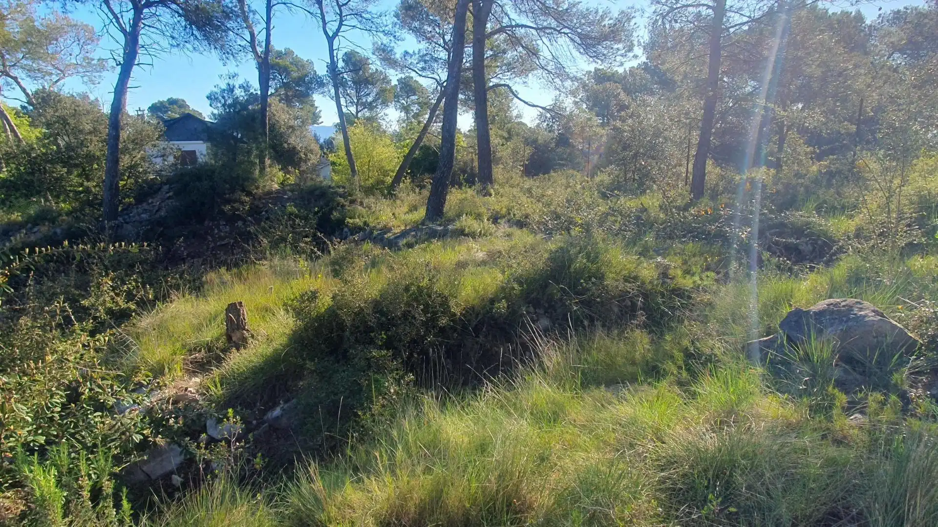 Terreny residencial en venda a Carrer MONTSERRAT (FONT DEL BOSC 122, imagen 9