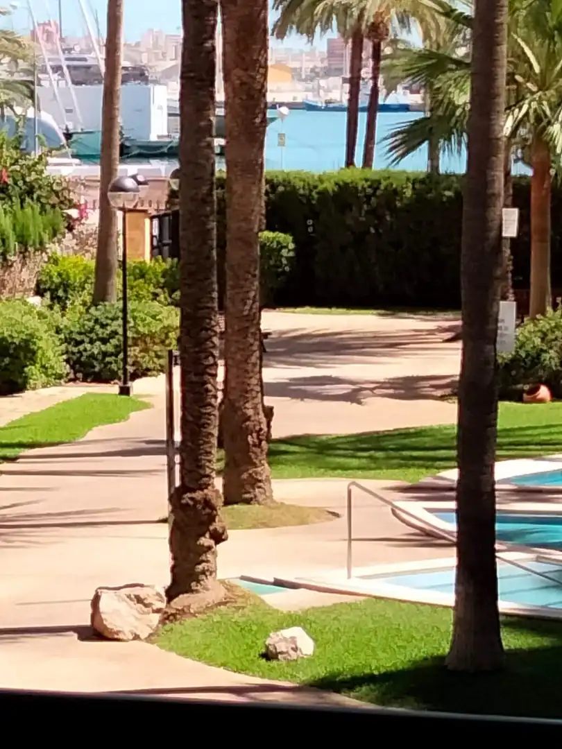 Vista exterior de Dúplex en venda en  Palma de Mallorca amb Calefacció, Jardí privat i Terrassa