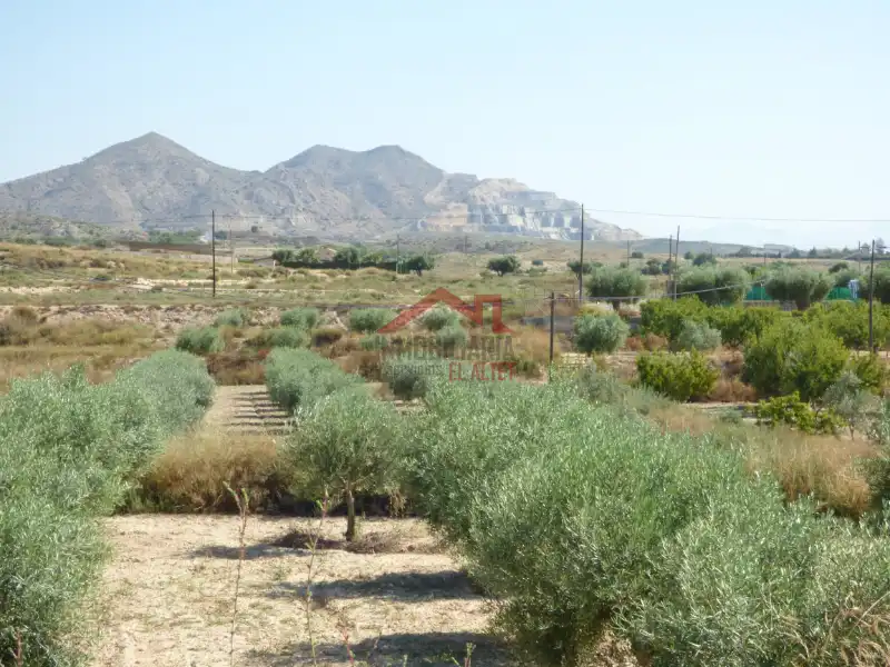 Terreno en venta en Alicante / Alacant