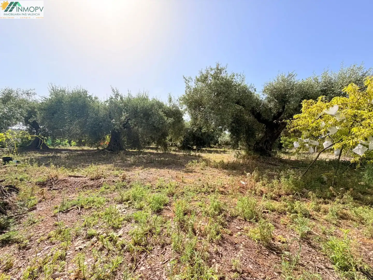 Houses for sale in Vinaròs  with Private garden and Terrace