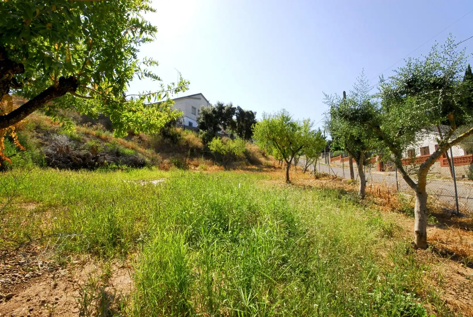 Terreno residencial en venta en Cabrera d'Anoia, imagen 8