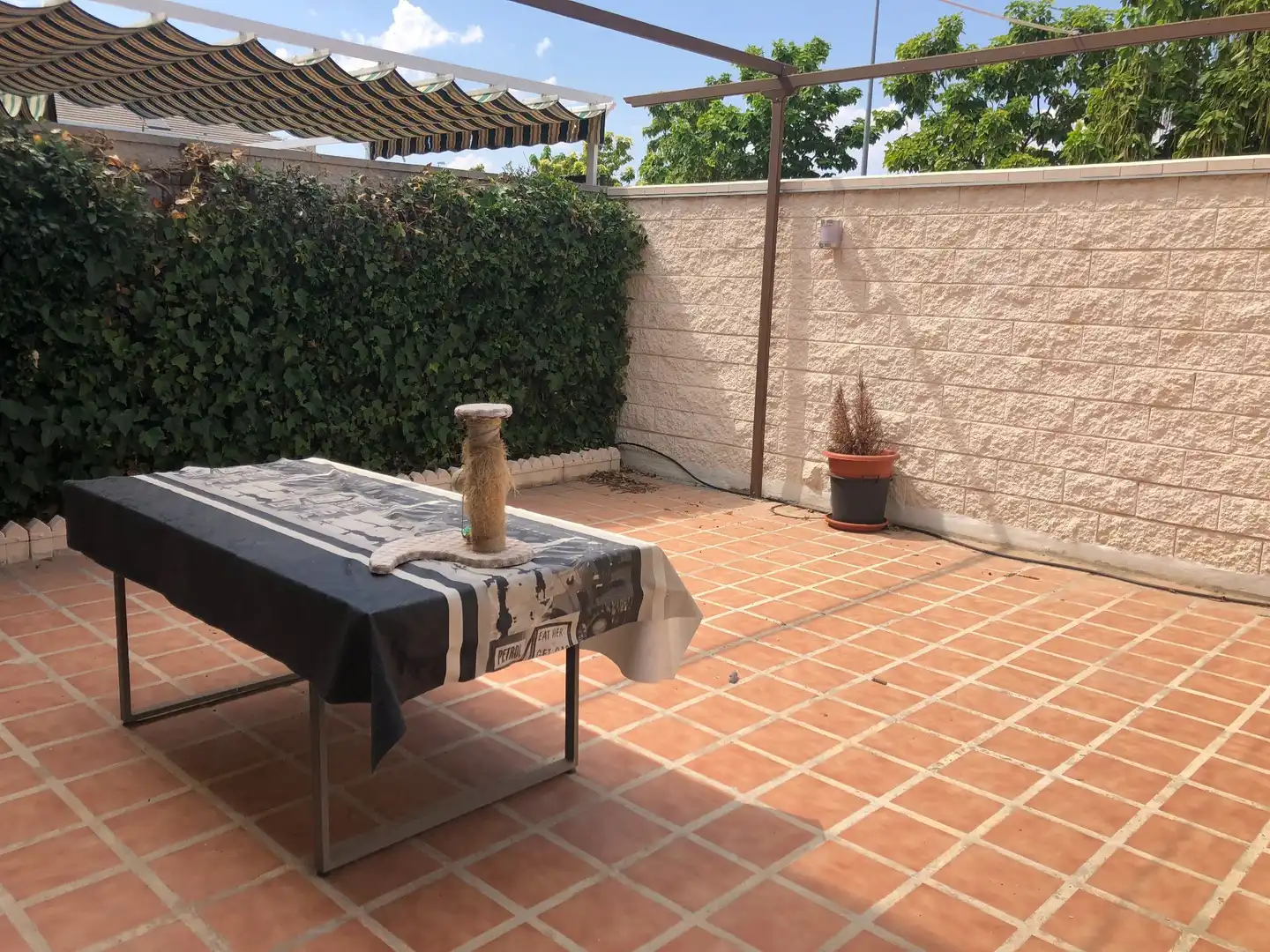Haus oder Chalet zum Verkauf in La Montaña - El Cortijo