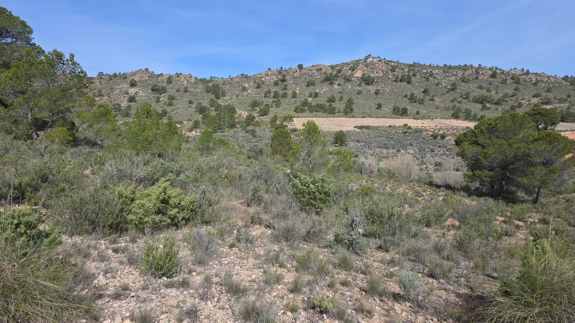 Residential land for sale in Yecla