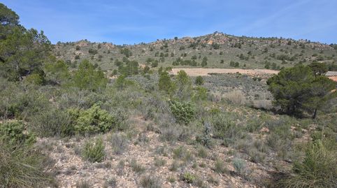 Image 1 of the listing