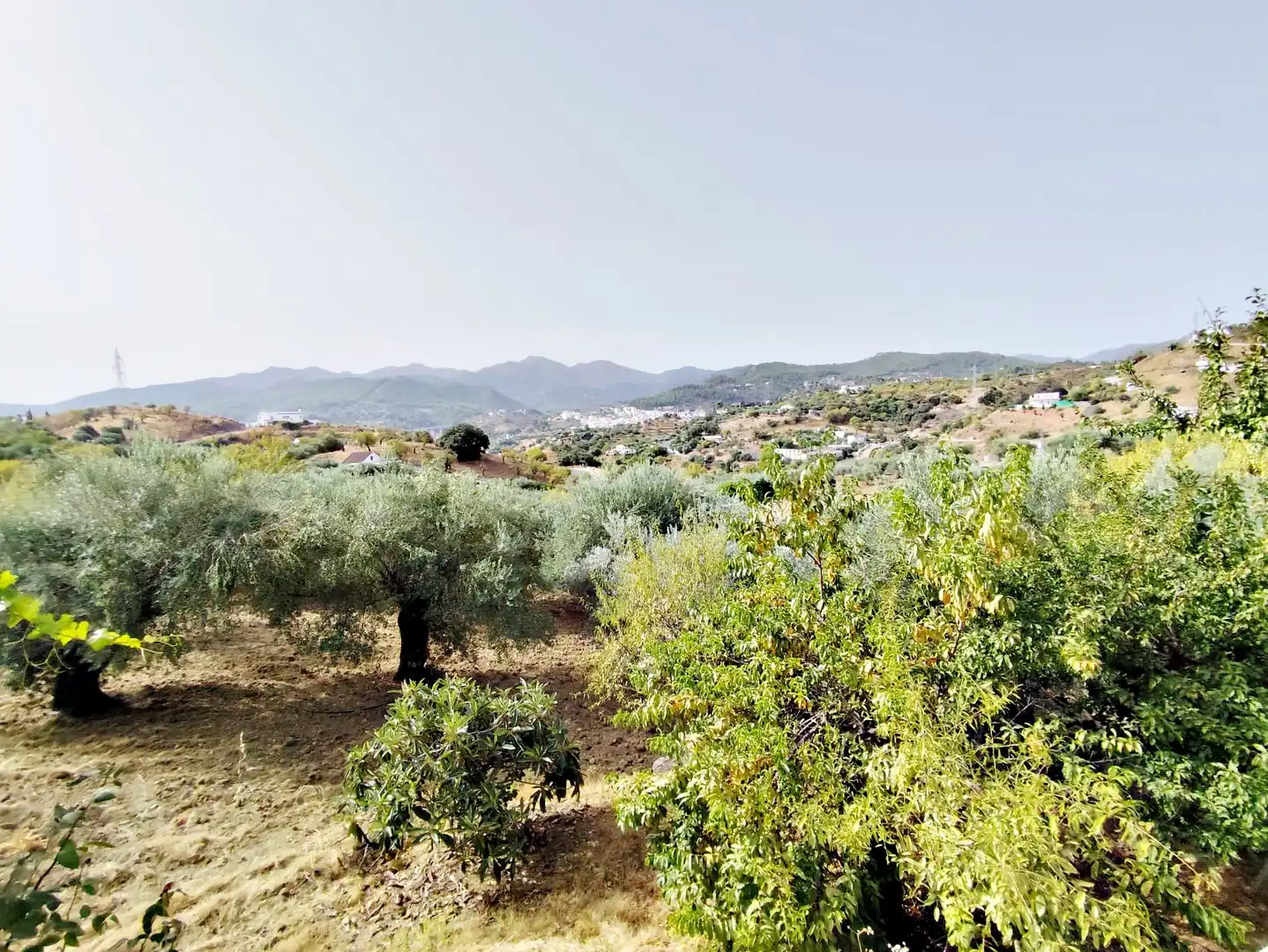 Finca rústica en venta en Coín con Jardín privado, Trastero y Amueblado