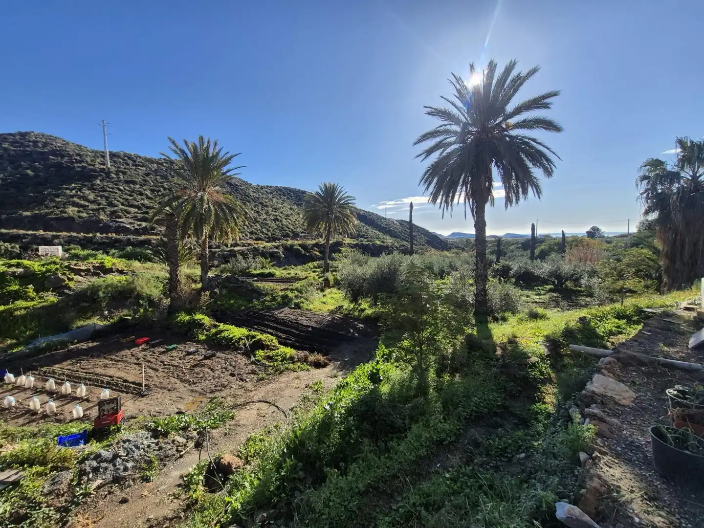 House with pool for sale in Carretera Jaravía