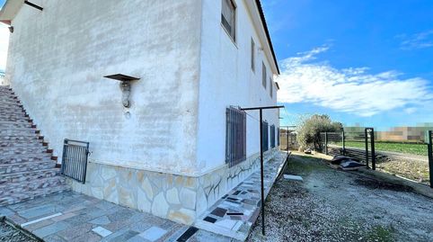 CASA, image 5