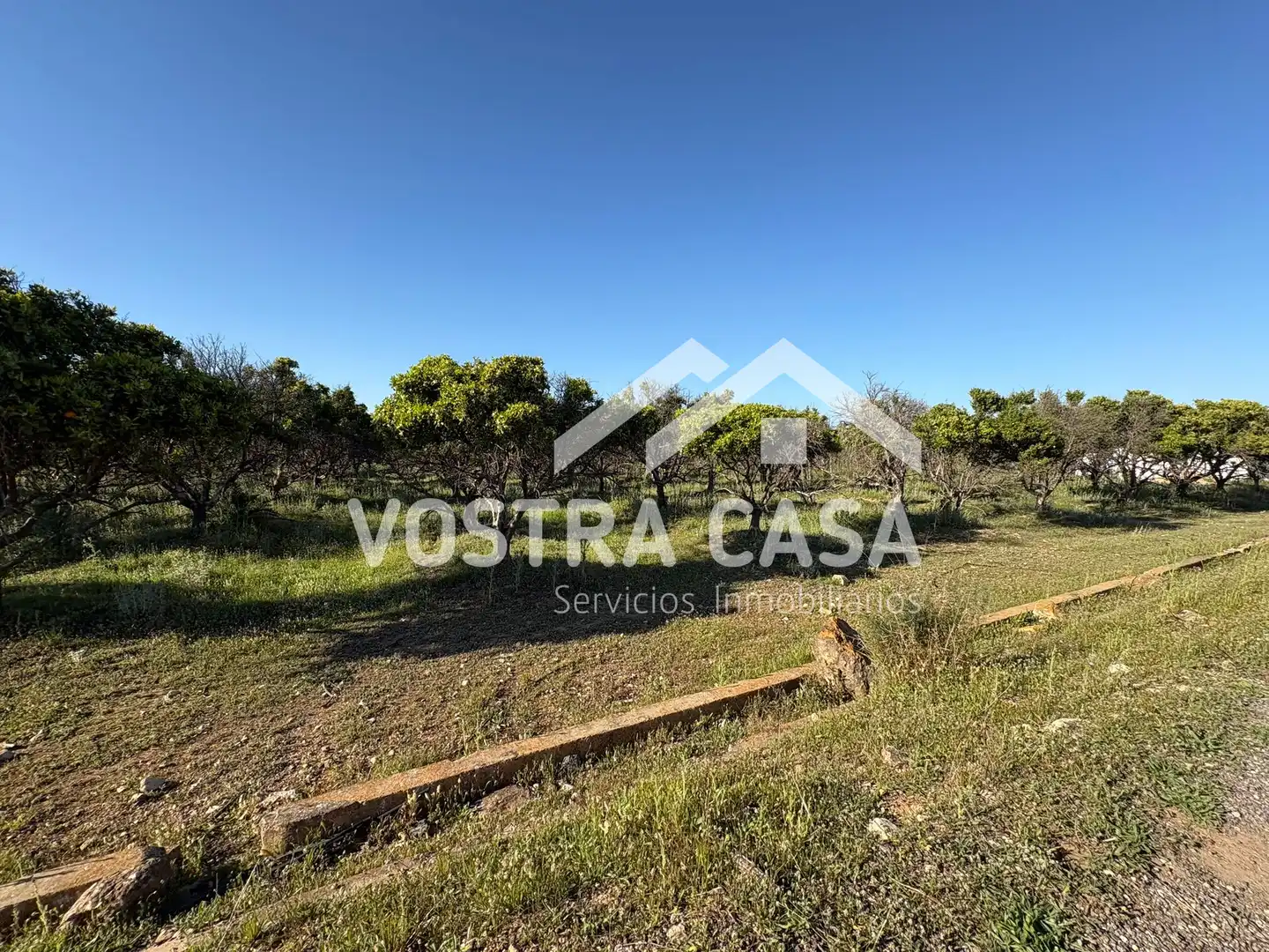 Land for sale in Chiva