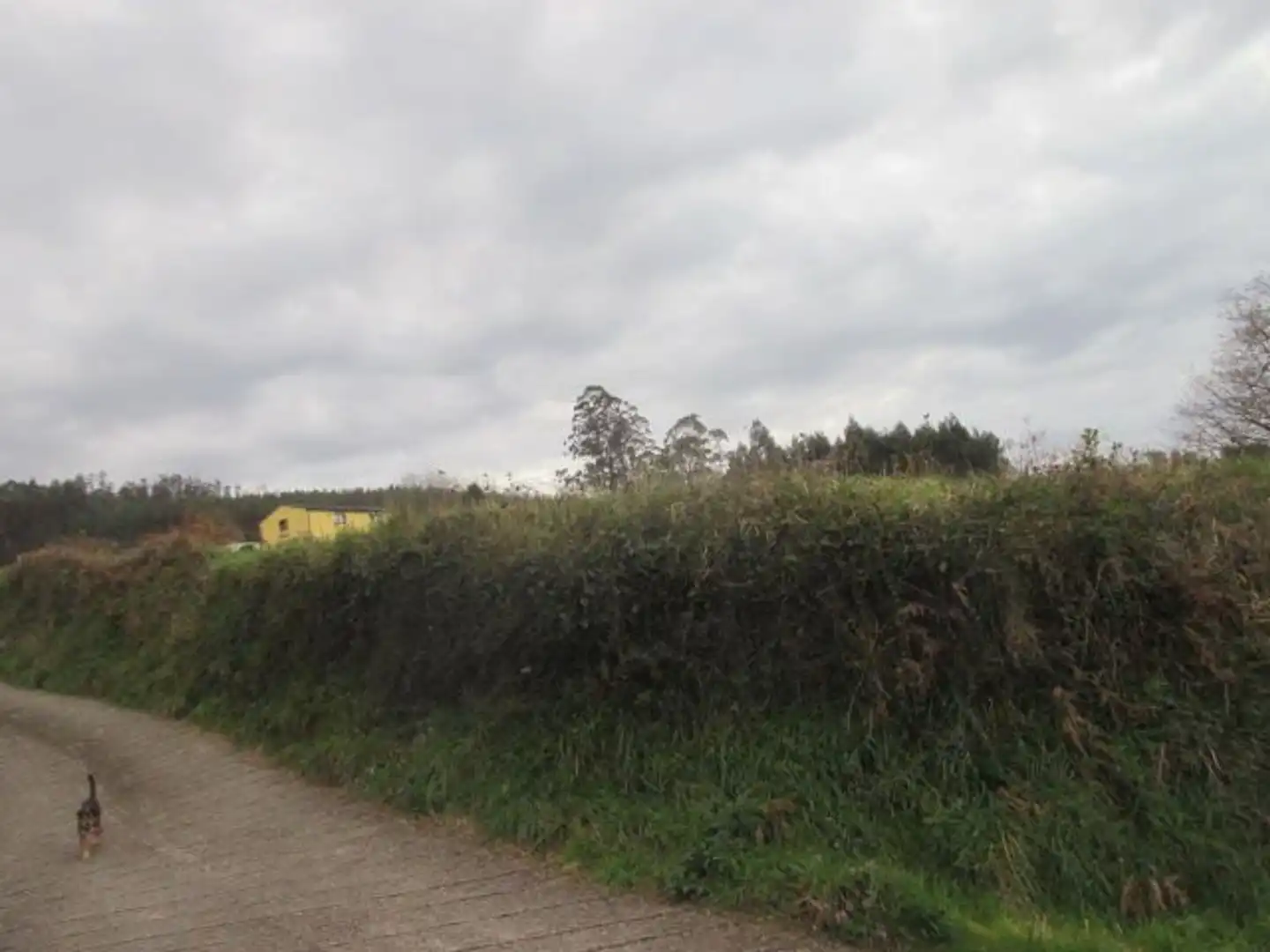 Residential land for sale in Vegadeo, imagen 8