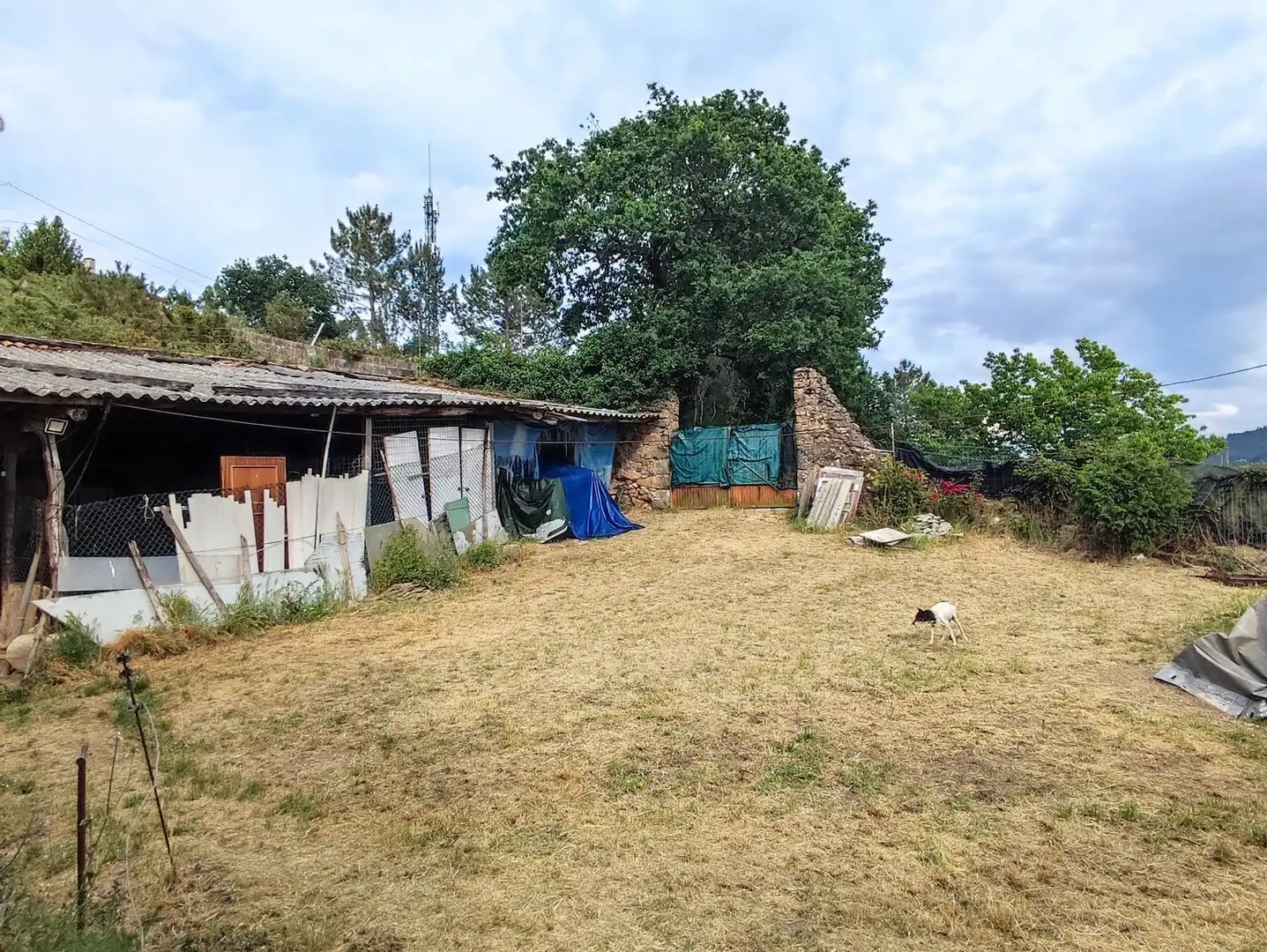 Villa avec jardin à vendre à Nabeiras, imagen 16