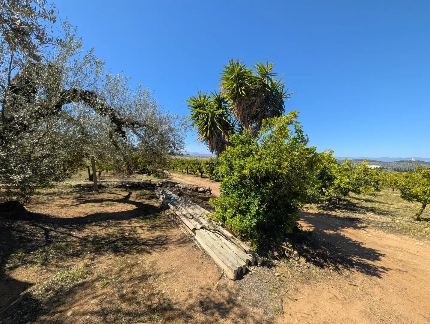 Grundstücke zum Verkauf in Ulldecona