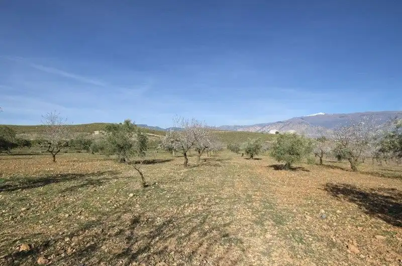 Terreno rustico in vendita a El Valle, imagen 20