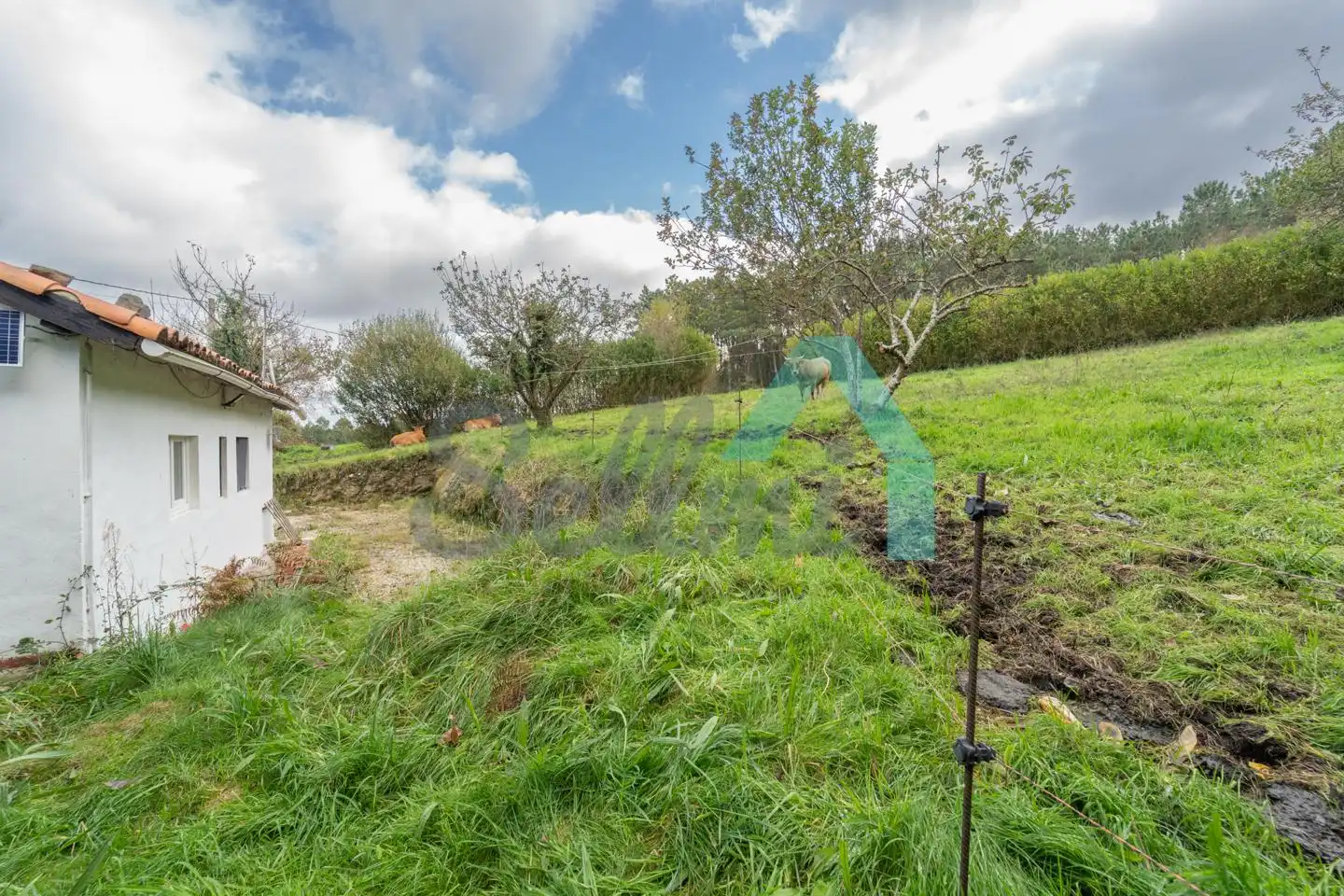 Jardí de Casa o xalet en venda en Cudillero amb Jardí privat i Traster