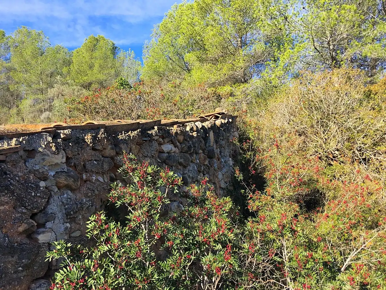 Maison à vendre à El Pinell de Brai, imagen 9