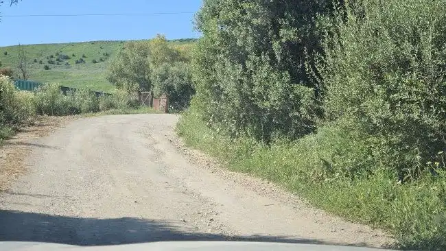 Country house for sale in Jimena de la Frontera, imagen 29