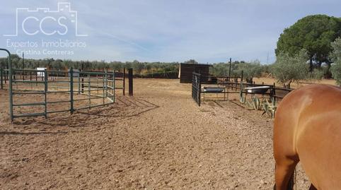 Foto 2 de Finca rústica en venda a Almonte ciudad, Huelva