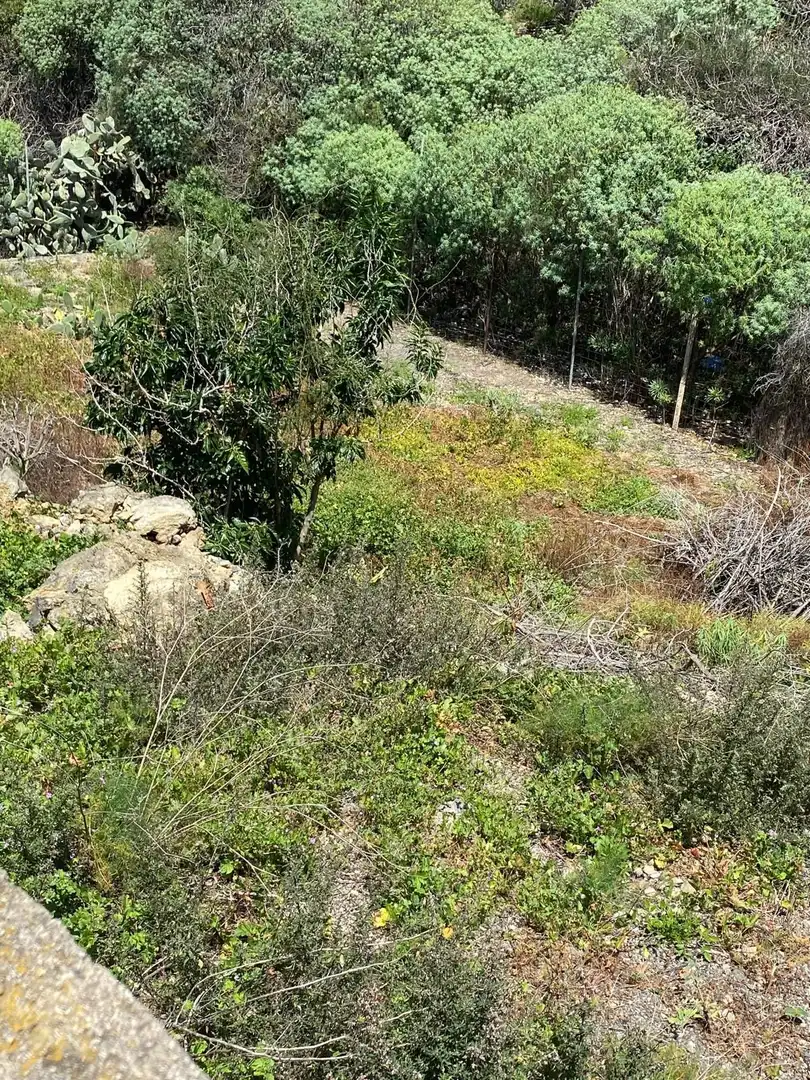 Terrenos y solares en venta en San Felipe - San Marcos - Las Cañas, imagen 2