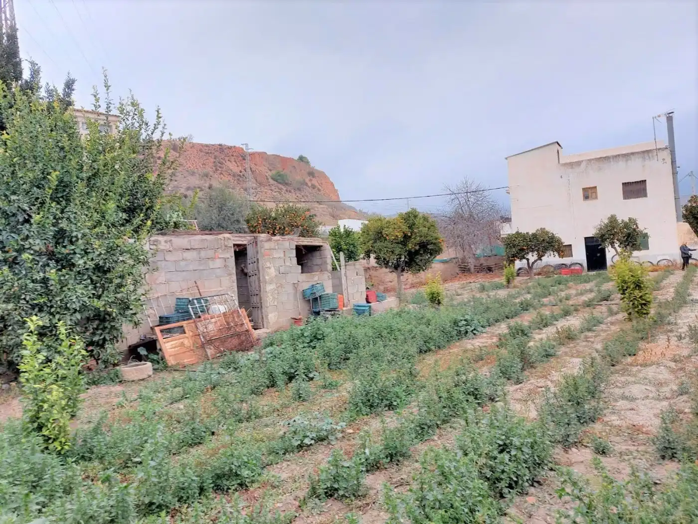 Casa o chalet en venta en Ugíjar