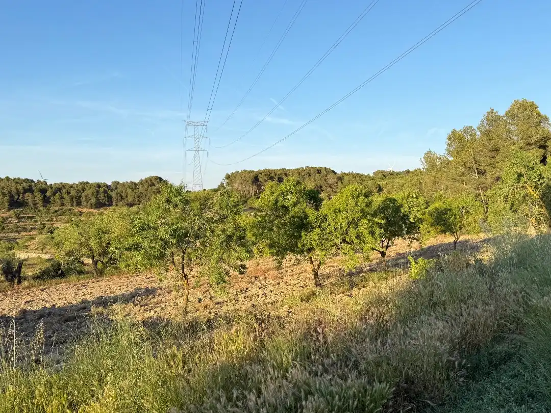 Rustikales Grundstück zum Verkauf in Tosalet 42, imagen 2