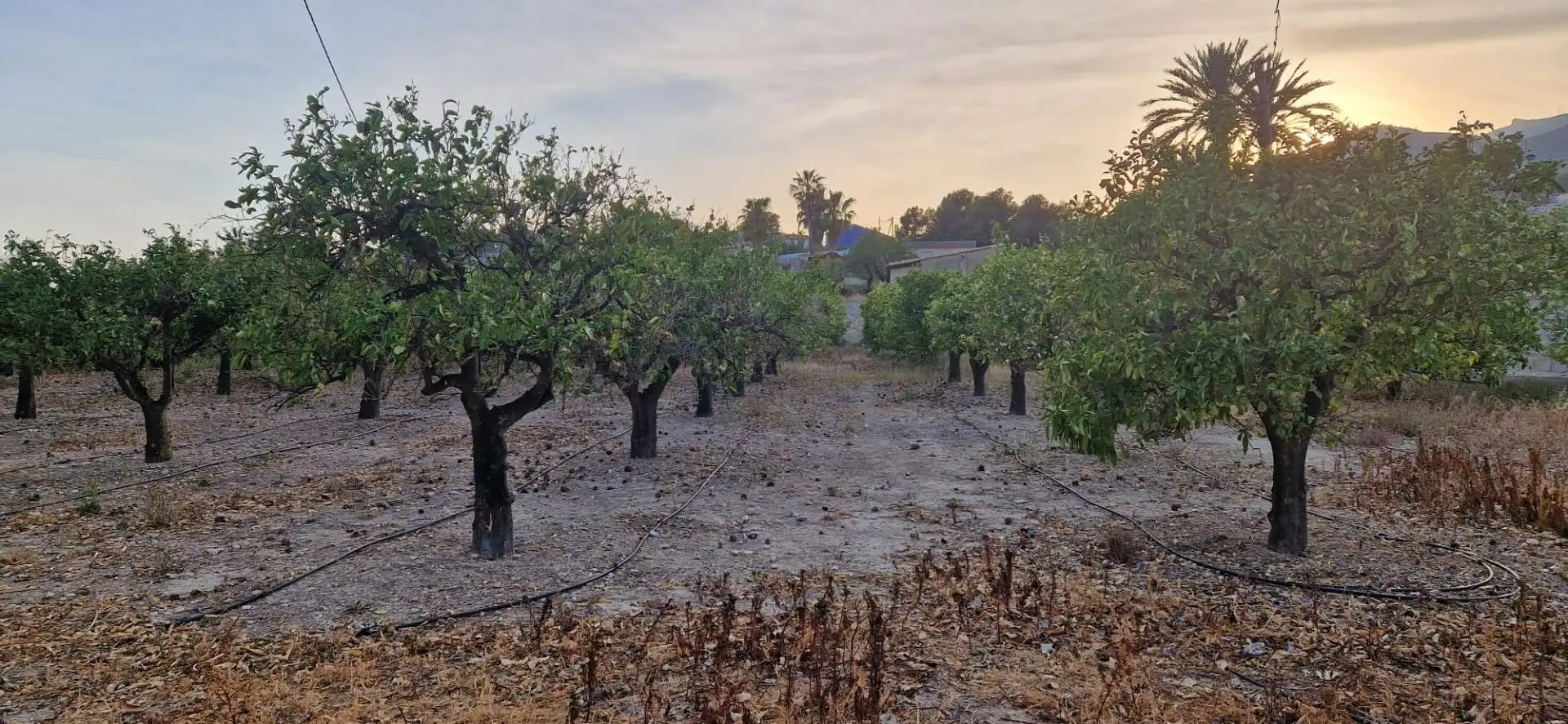 Finca rústica en venta en Aigües con Jardín privado