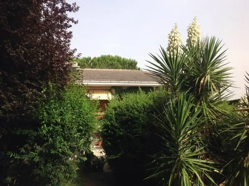Jardín de Casa o chalet en venta en Santo Domingo de la Calzada con Calefacción, Jardín privado y Piscina