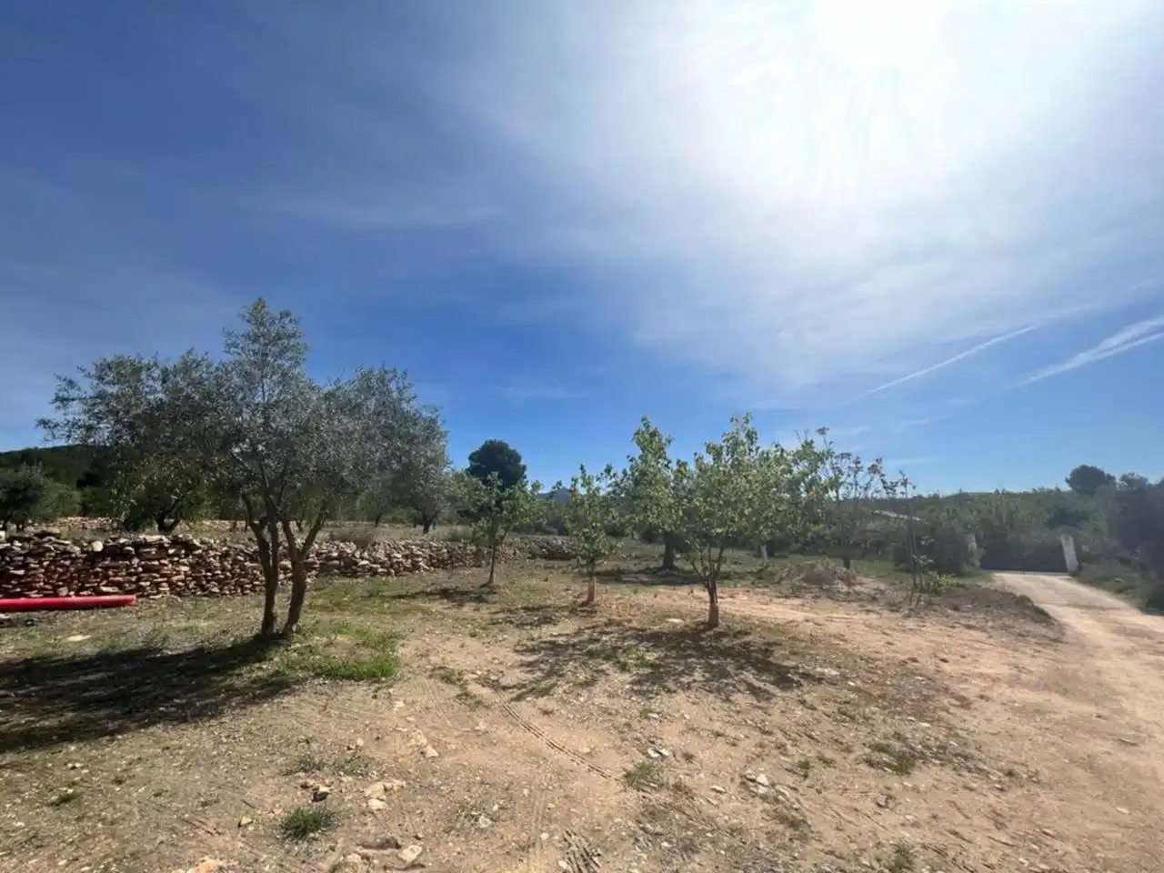 Chalet con jardín en venta en Calle Poligono, imagen 171