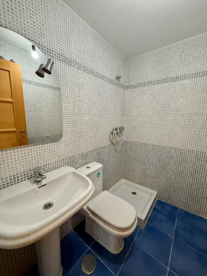 Pis amb piscina en venda a Calle Jesús Rojas, imagen 49