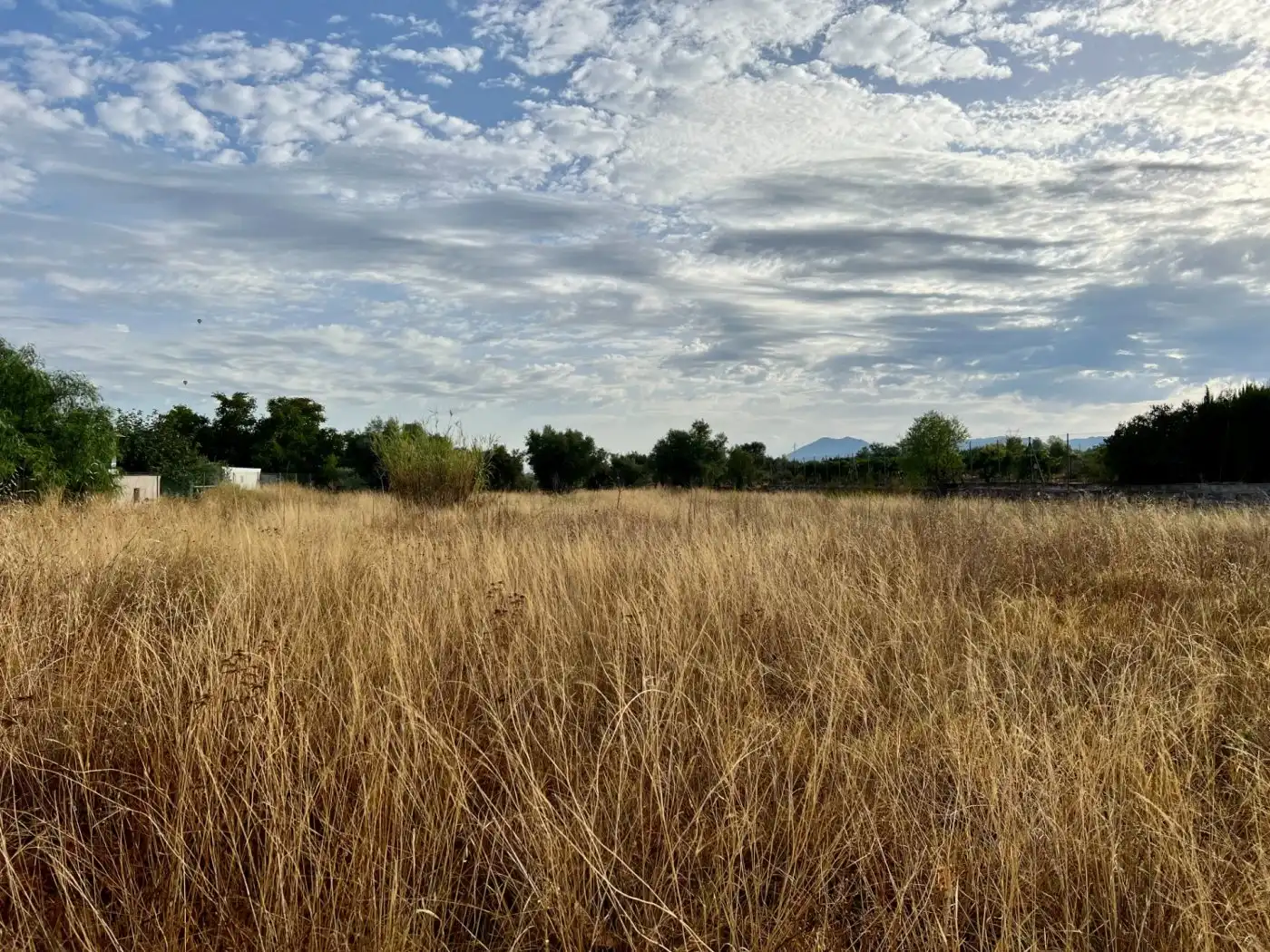 Residential land for sale in Las Tiesas, imagen 8