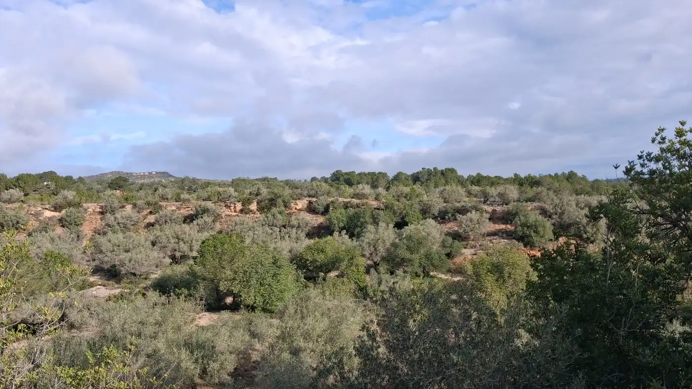Finca rústica en venta en L'Ampolla