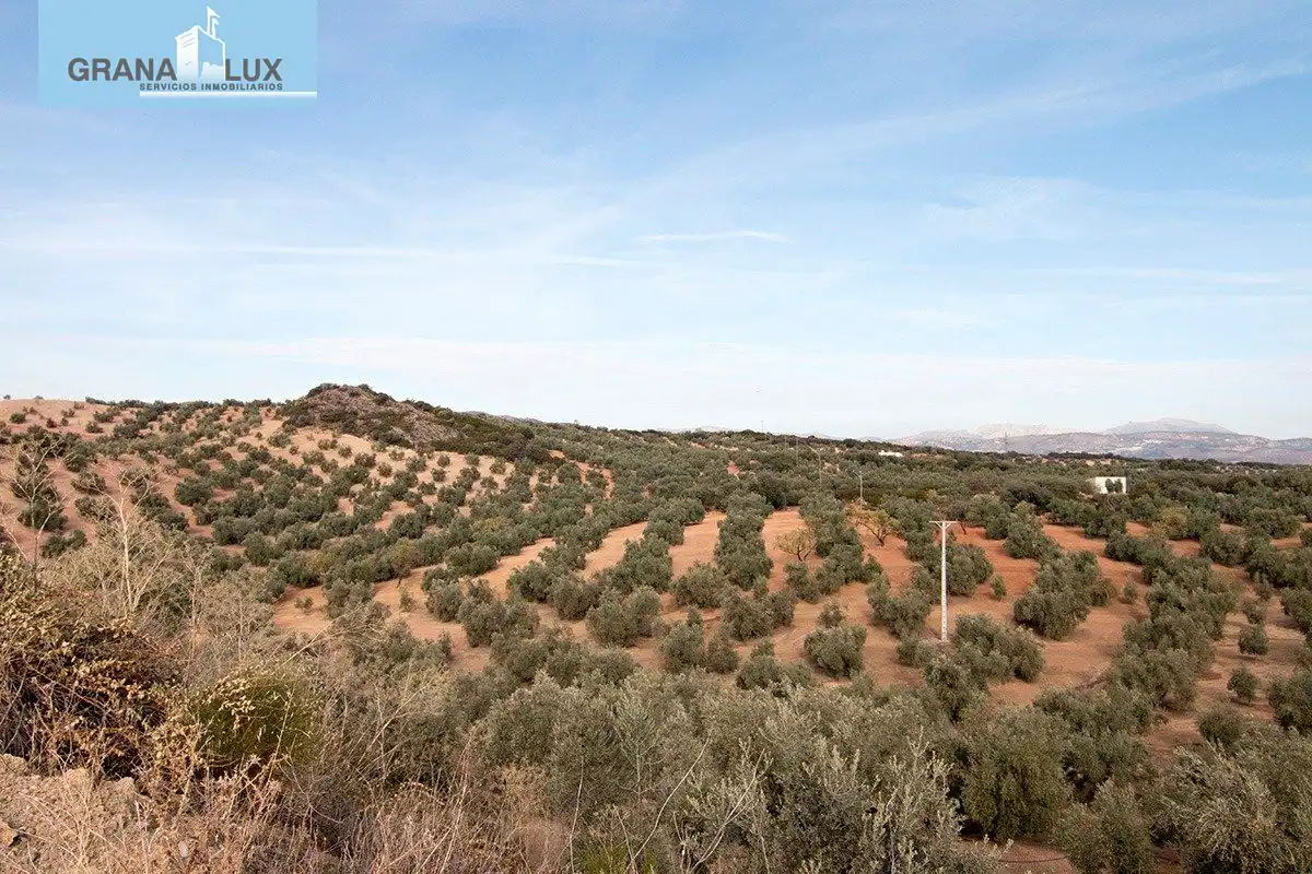 Country homes for sale in Loja