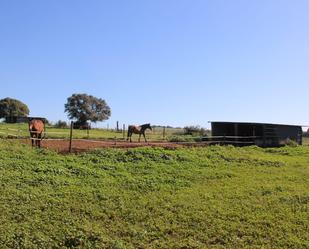 Vista exterior de Finca rústica en venda en Vejer de la Frontera