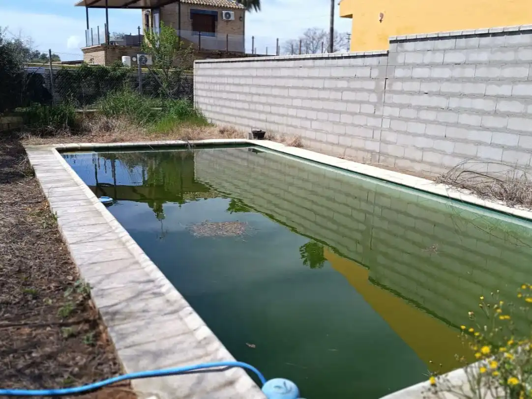 Chalet con piscina en venta en Urbanización Torrepalma 172, imagen 21