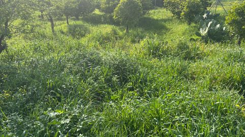Foto 5 de Terreno en venta en Camino Reinoso, Los Llanos, Estepona