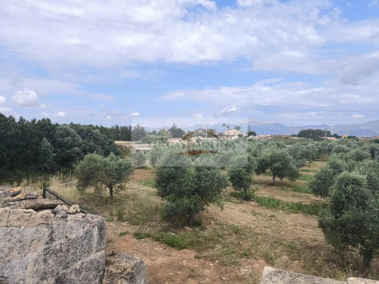 Terrenys i solars en venda a Sa Pobla, imagen 8