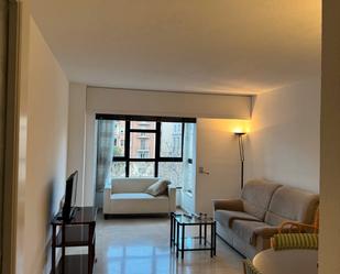 Living room of Flat to rent in  Madrid Capital  with Air Conditioner, Heating and Private garden