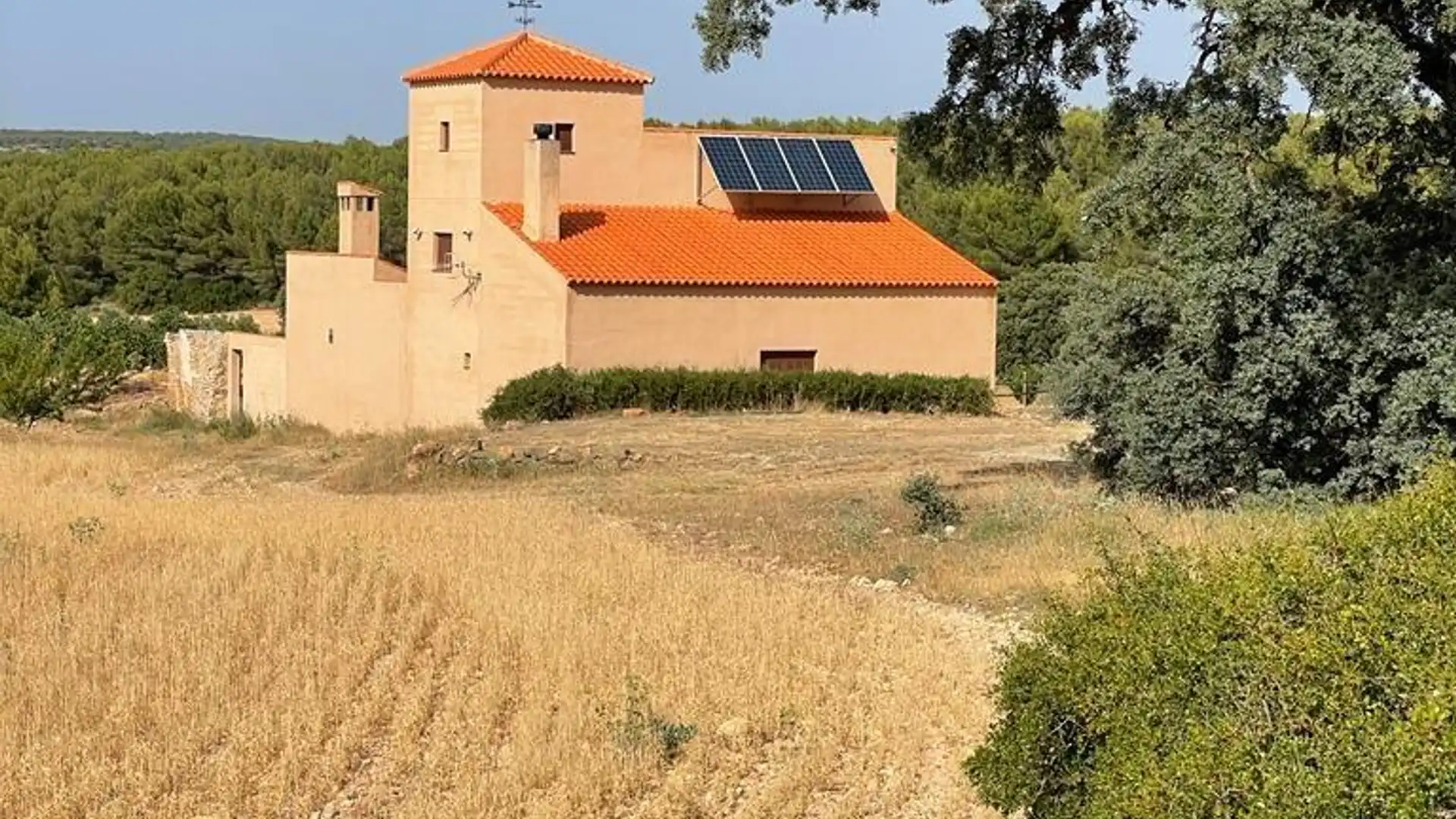 Finca rústica en venta en Almansa