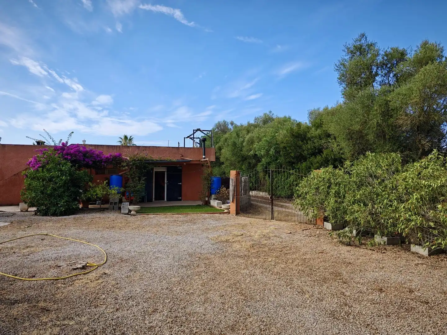 Jardín de Casa o chalet en venta en Algaida