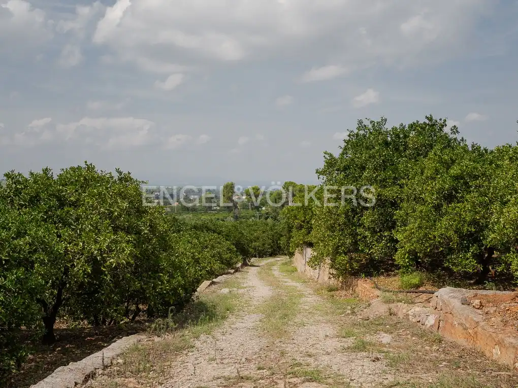 Houses for sale in Carcaixent  with Heating, Private garden and Terrace