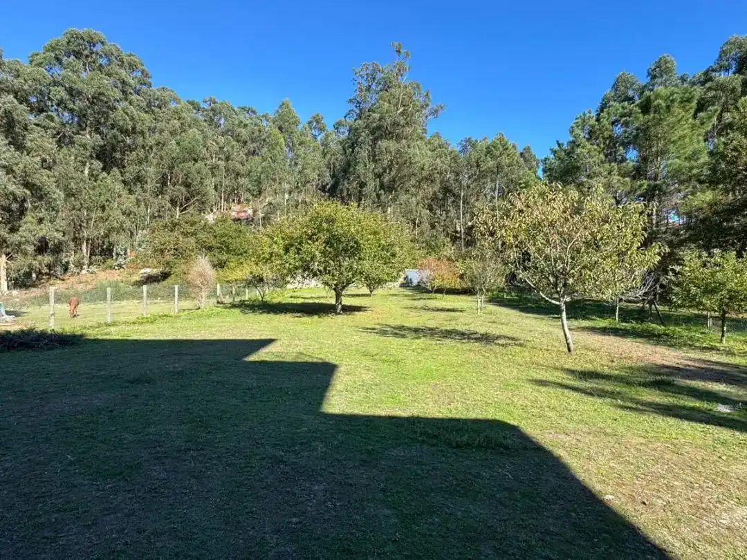 Jardí de Casa o xalet en venda en Cangas  amb Aire condicionat i Balcó