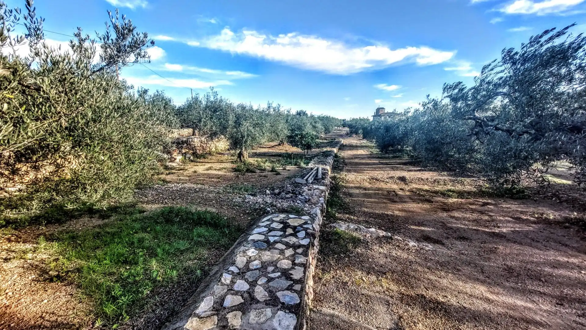 Finca rústica en venda en L'Ametlla de Mar  amb Jardí privat, Terrassa i Moblat