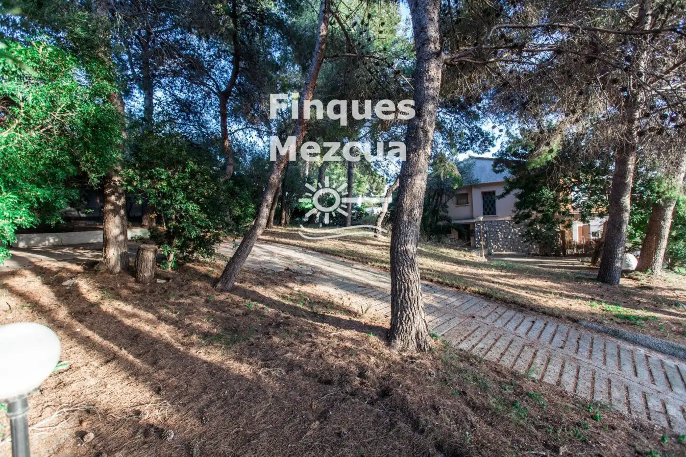 Terrain rustique à vendre à Mèxic, imagen 4