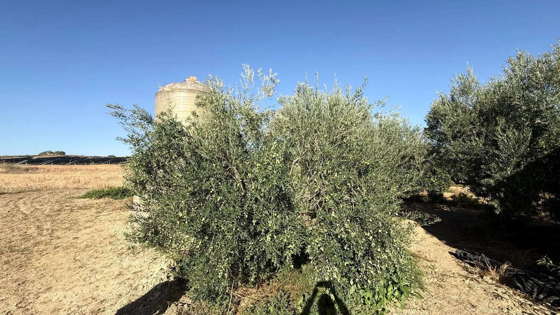 Casa rústica en venta en La Palma del Condado, imagen 13