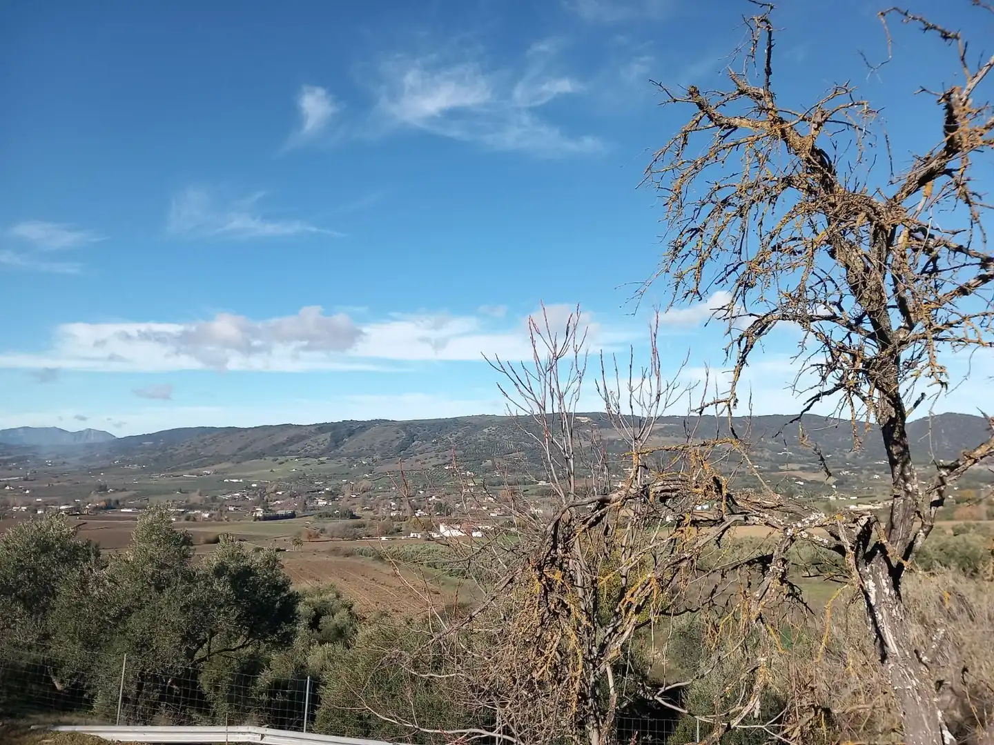 Finca rústica en venda a Partidas Norte