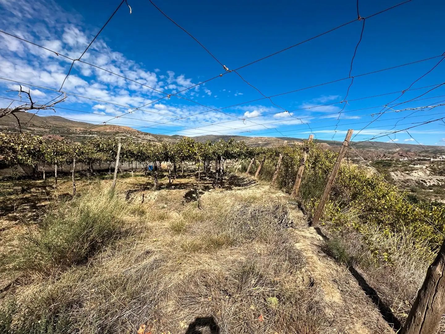 Finca rústica en venda en Canjáyar amb Jardí privat, Terrassa i Traster