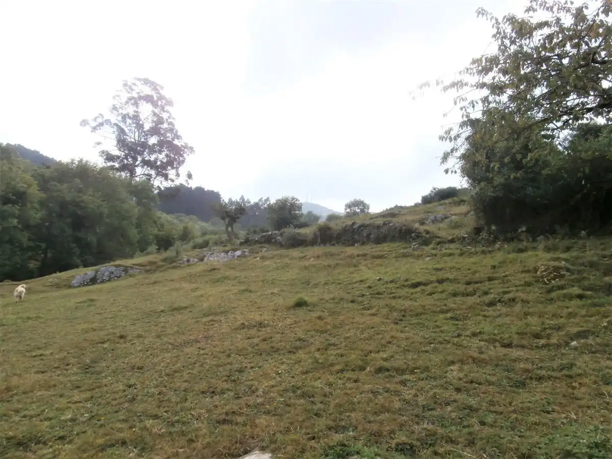 Terrenos y solares en venta en Salas, imagen 6