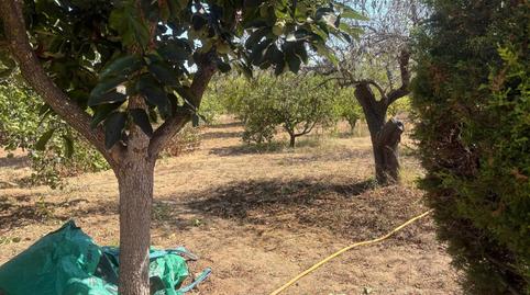 Foto 5 de Casa o chalet en venta en Godelleta, Valencia