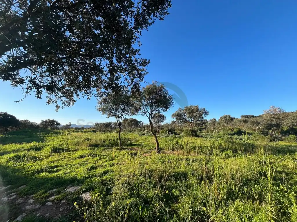 Casa en venta en Partidas Norte, imagen 33