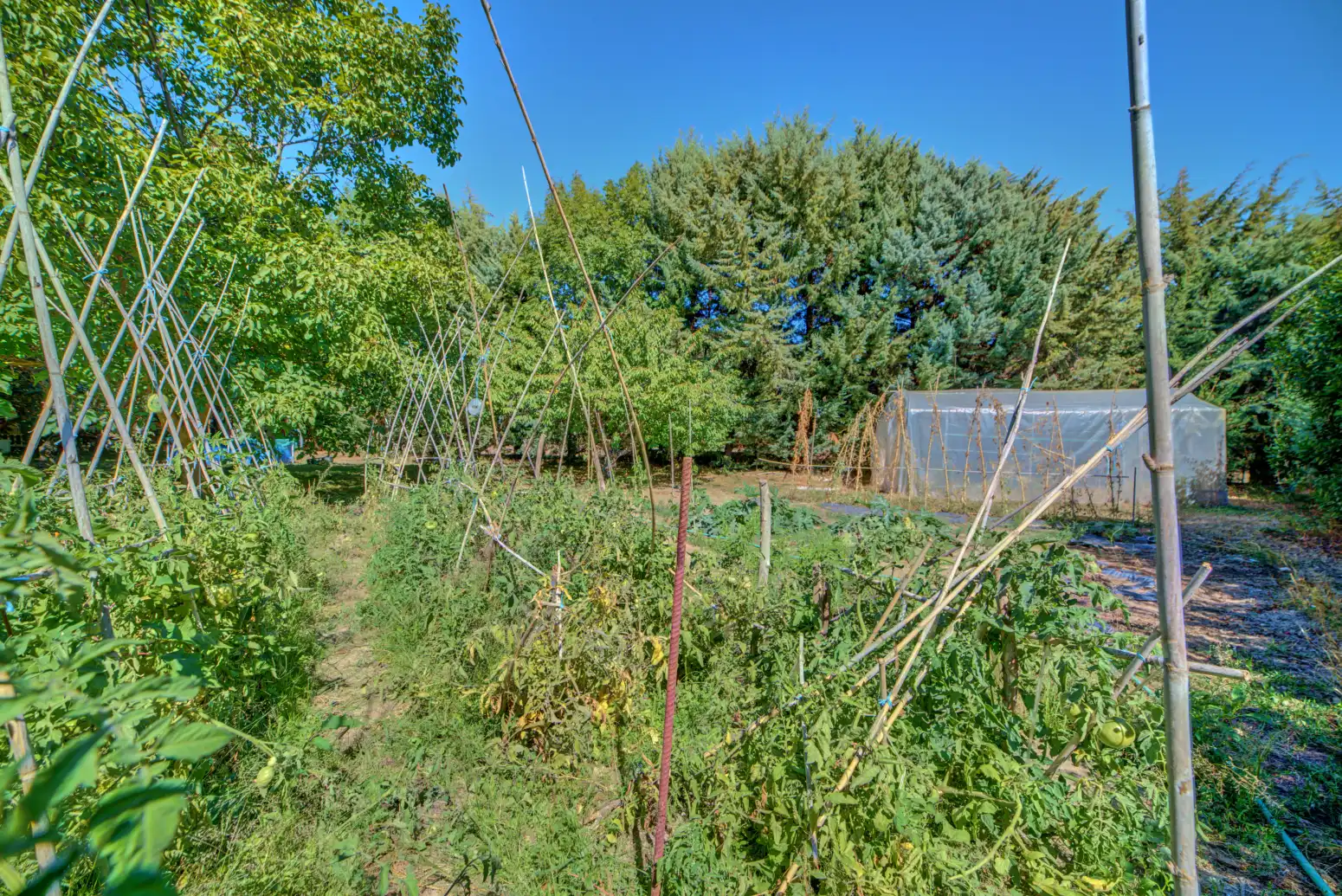 Land for sale in Salinas de Oro / Jaitz