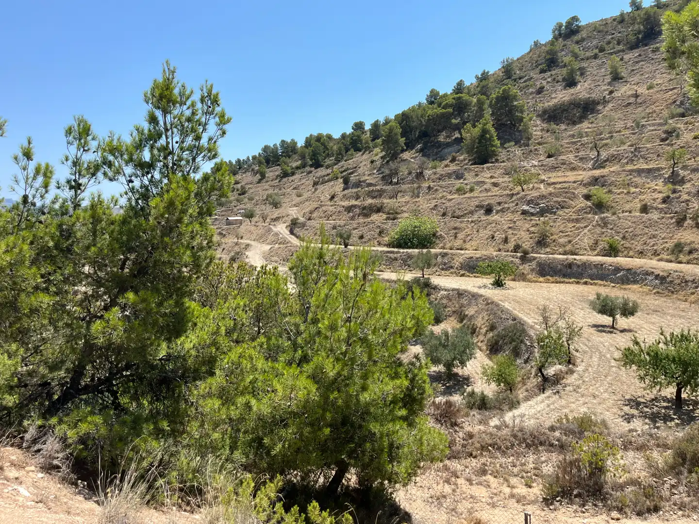 Casa o chalet en venta en Jijona / Xixona