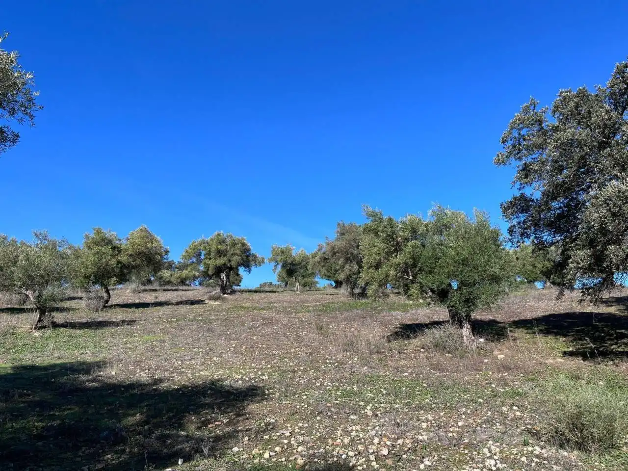 Terreno rustico in vendita a El Bosque, imagen 4